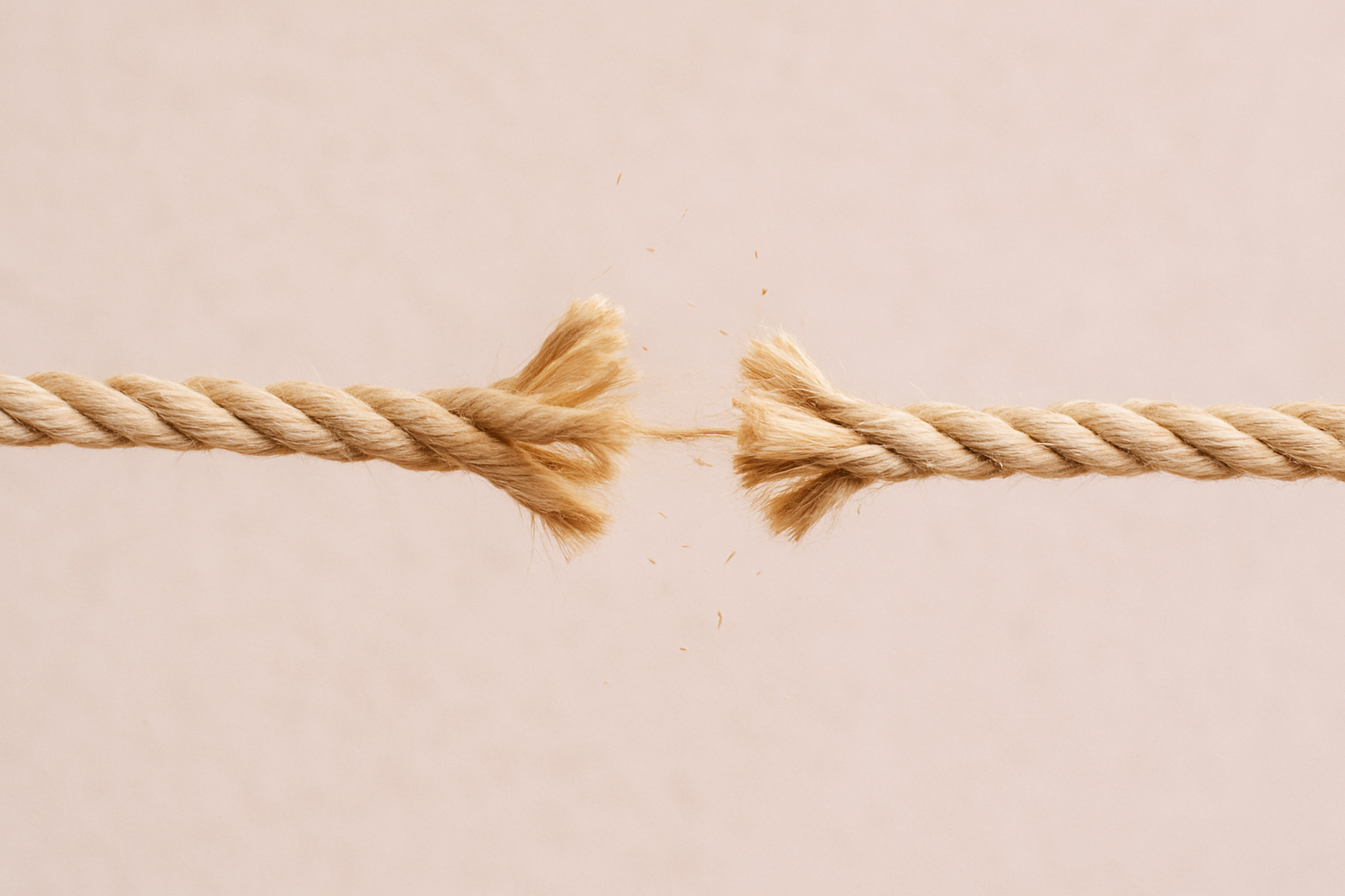 services-01 ChatGPT Image 7 Nov. 2025 15 12 50